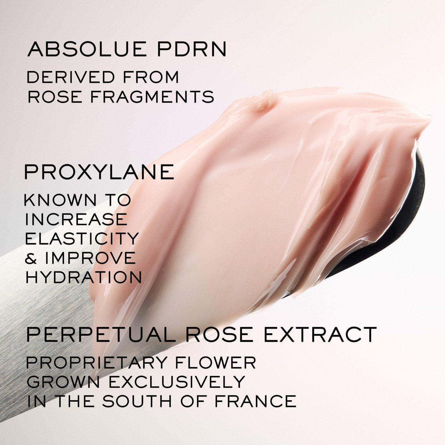 Крем для лица Absolue Longevity Soft Cream с антивозрастным эффектом — фото 3