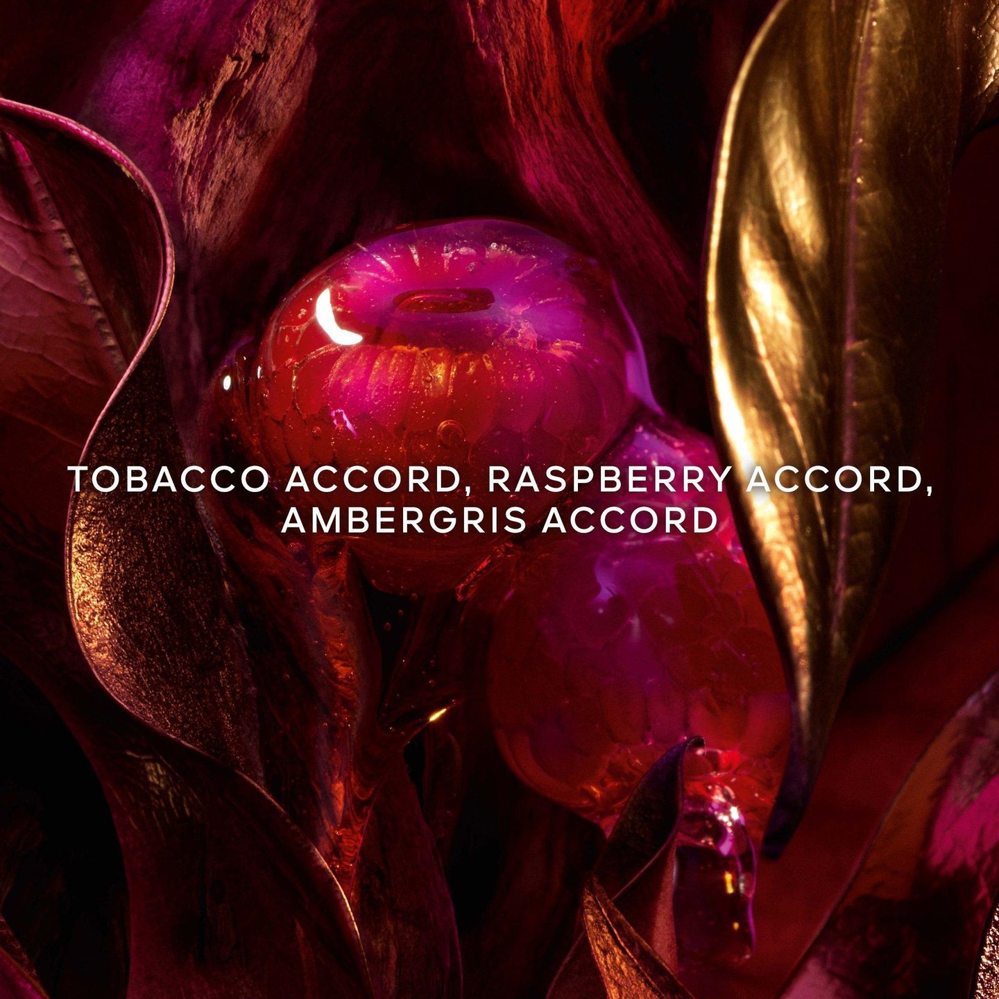Absolus Allegoria Tabac Sahara Eau De Parfum — фото 3
