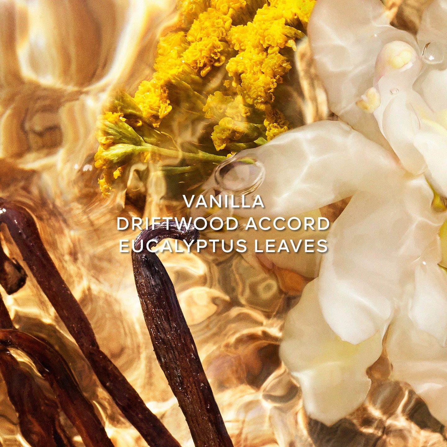 Aqua Allegoria Bosca Vanilla Forte Парфюмированная вода — фото 3