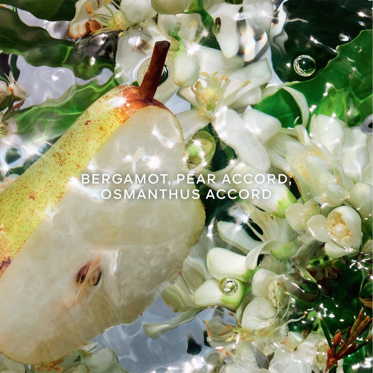 Aqua Allegoria Pera Granita Eau de Toilette — фото 3