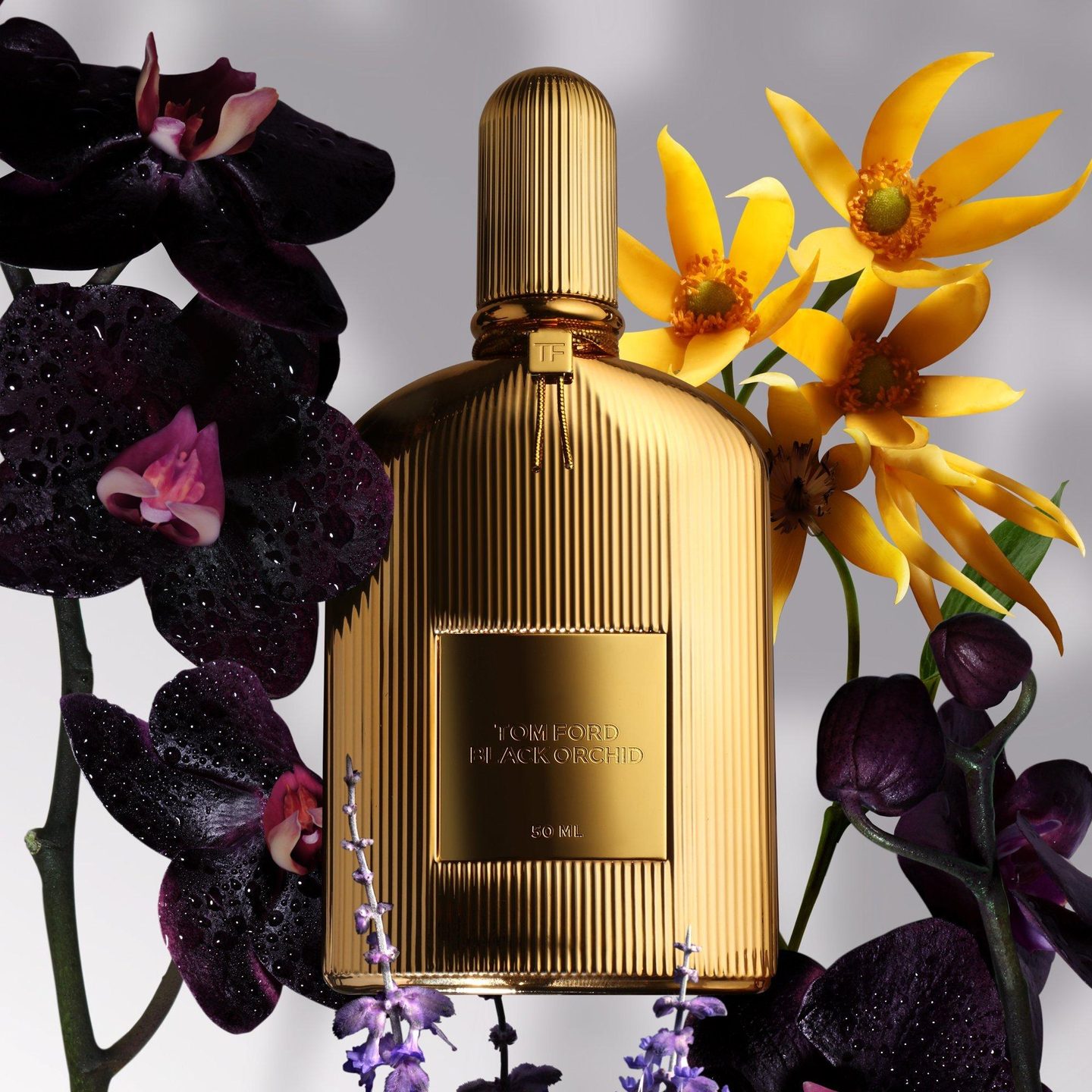Набор для открытия Black Orchid — фото 3