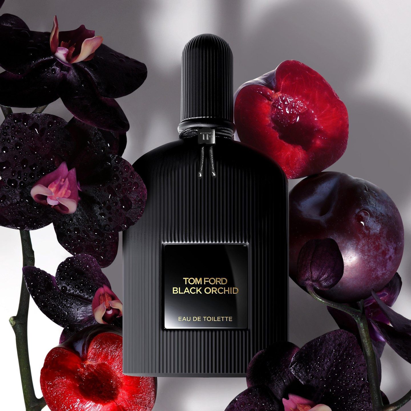 Набор для открытия Black Orchid — фото 2