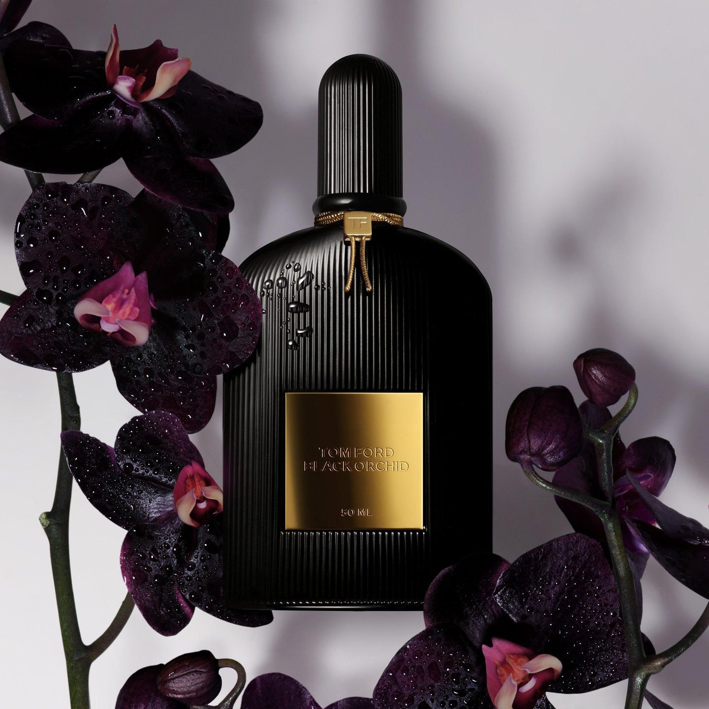 Набор для открытия Black Orchid — фото 4