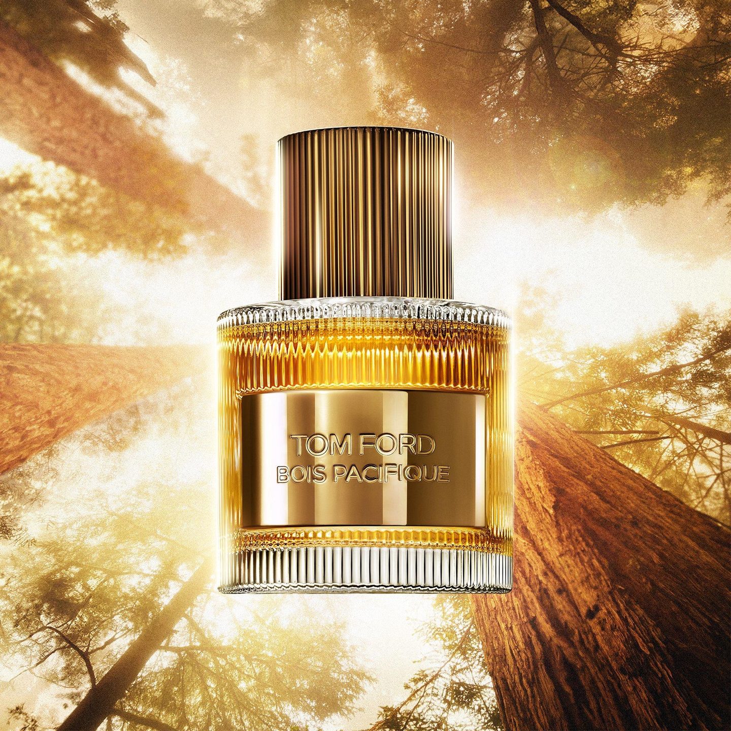 Bois Pacifique Eau de Parfum — фото 3