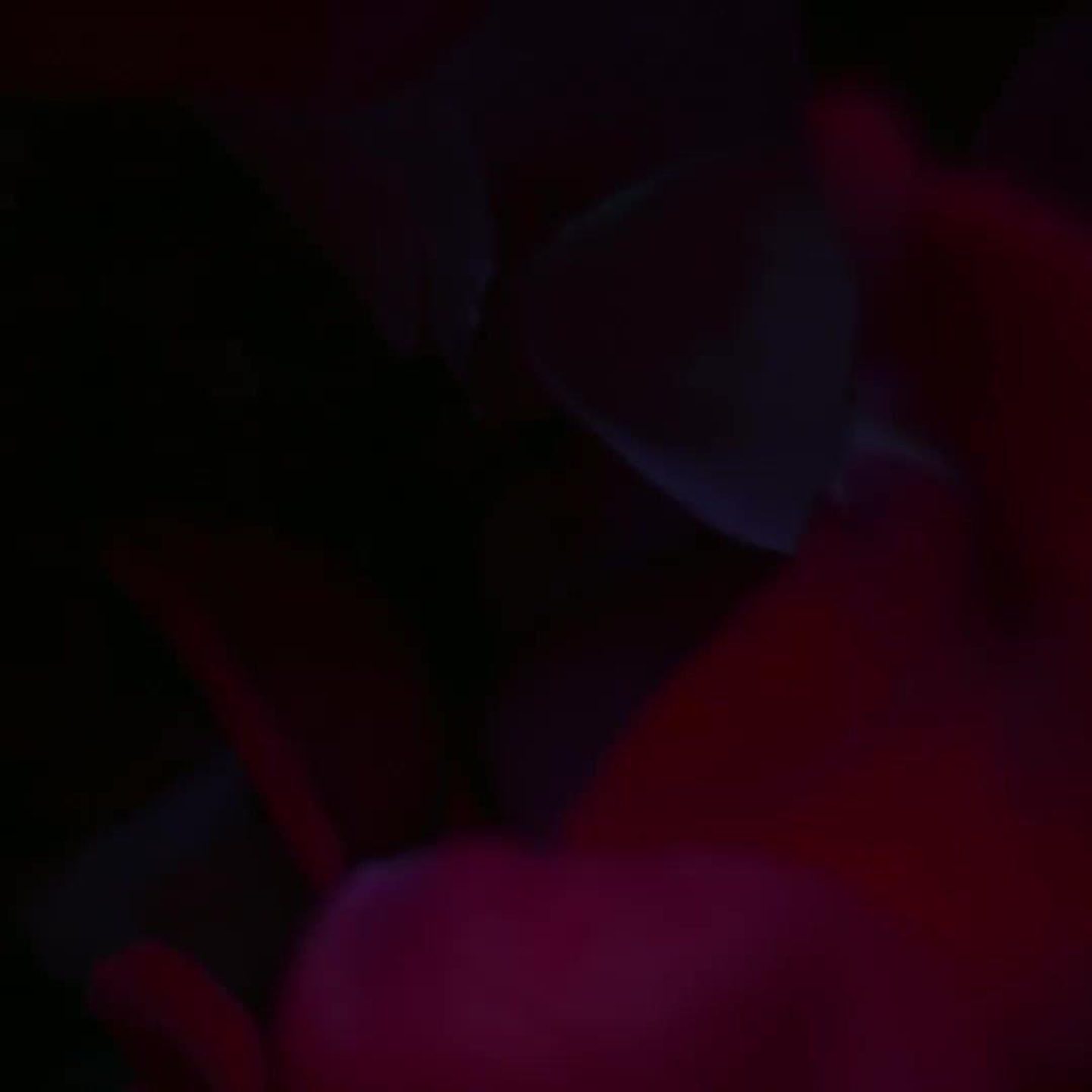 Café Rose Eau de Parfum — фото 4