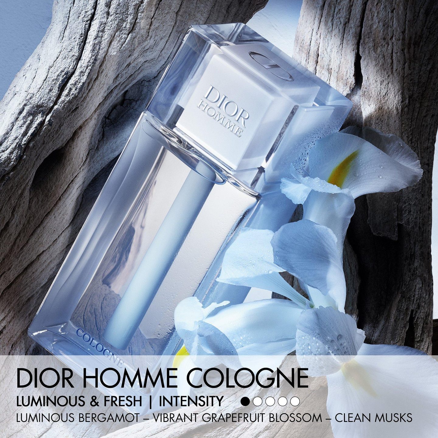 Dior Homme Cologne Eau de Toilette — фото 2