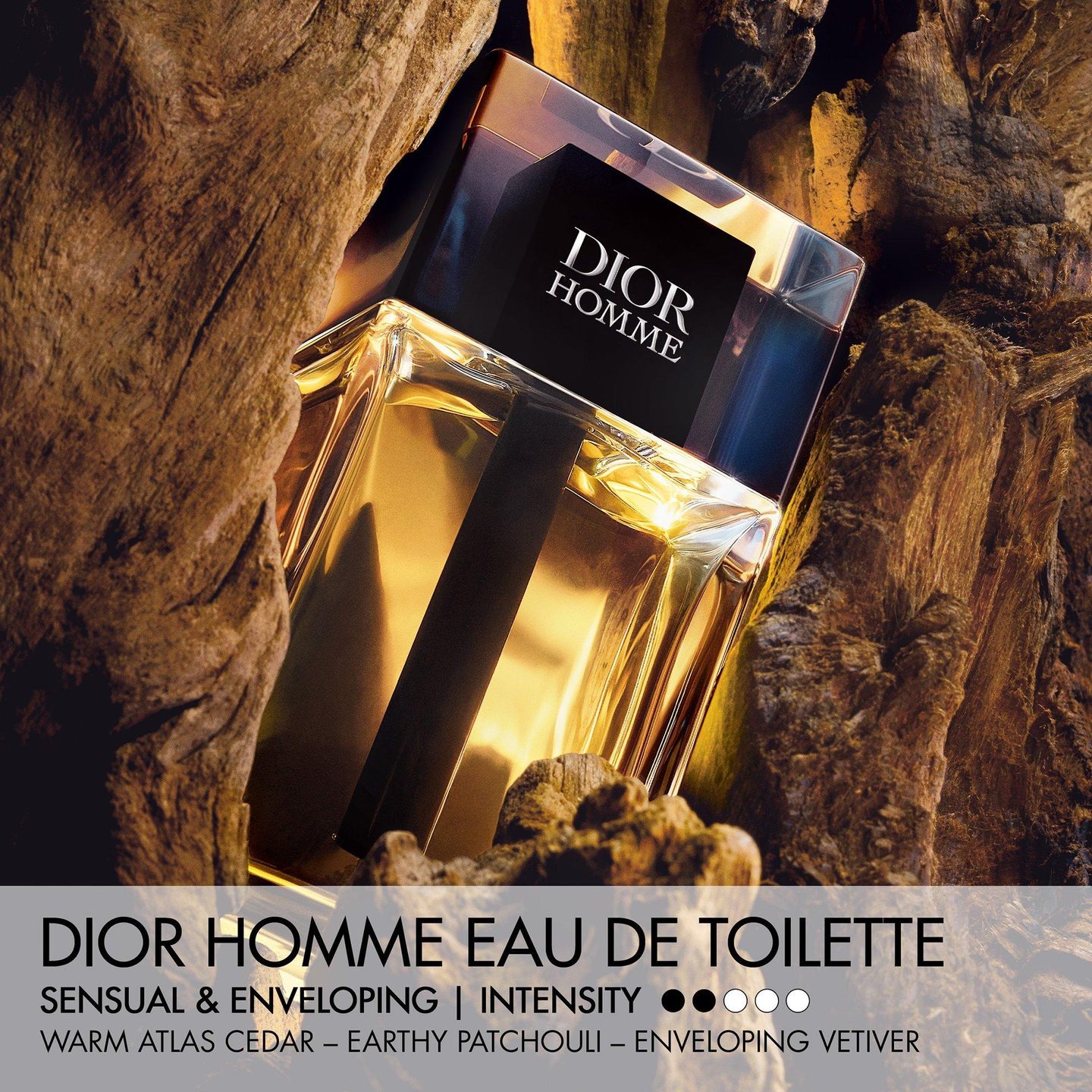 Dior Homme Eau de Toilette — фото 2