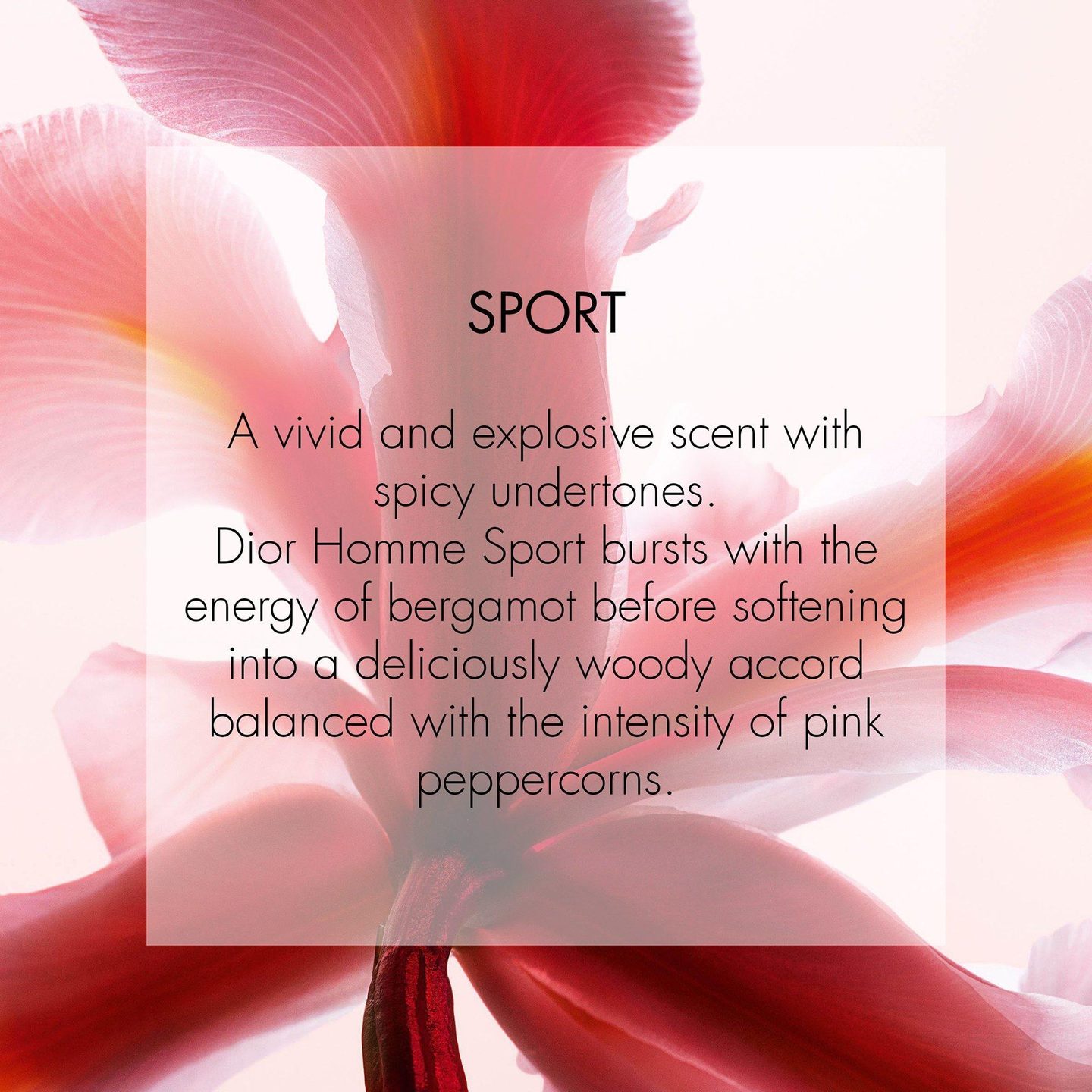 Dior Homme Sport Eau de Toilette — фото 3