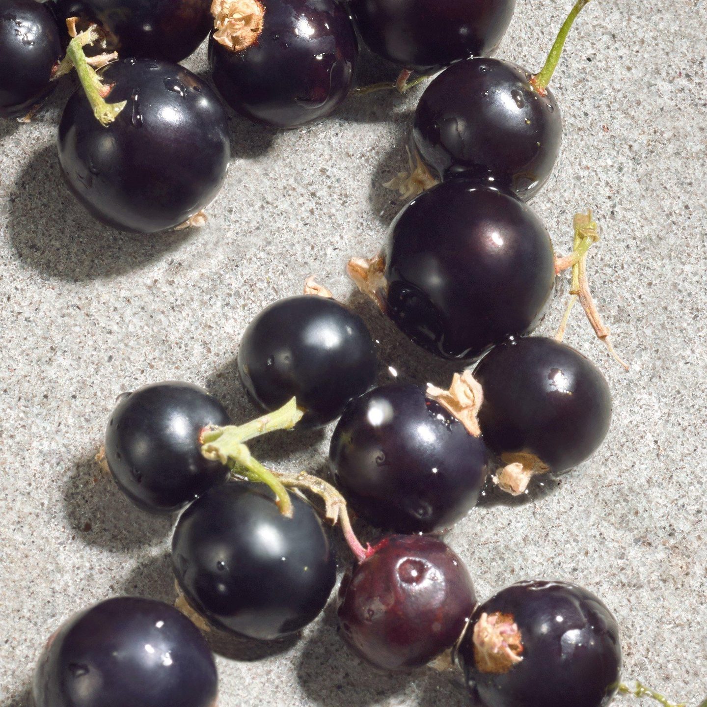 Dolce Violet Eau de Toilette — фото 4