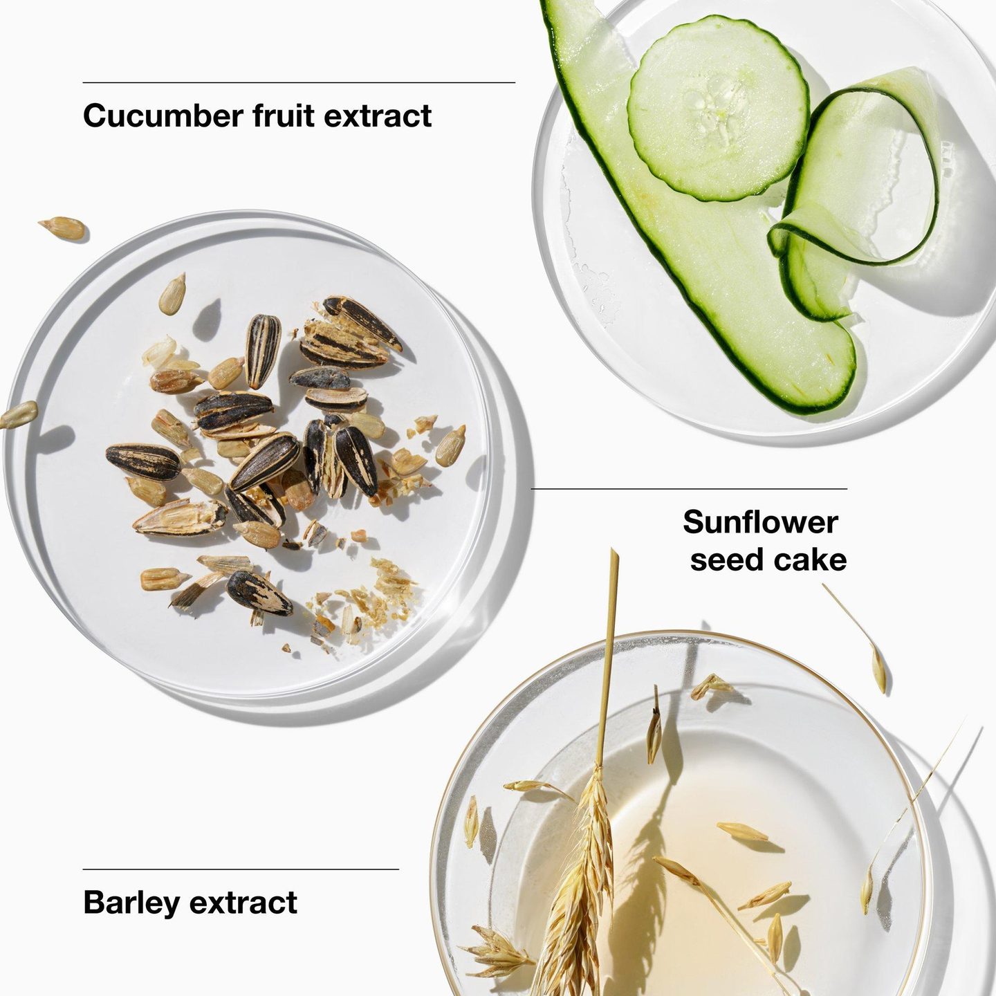 Гель для лица Dramatically Different Moisturizing — фото 3
