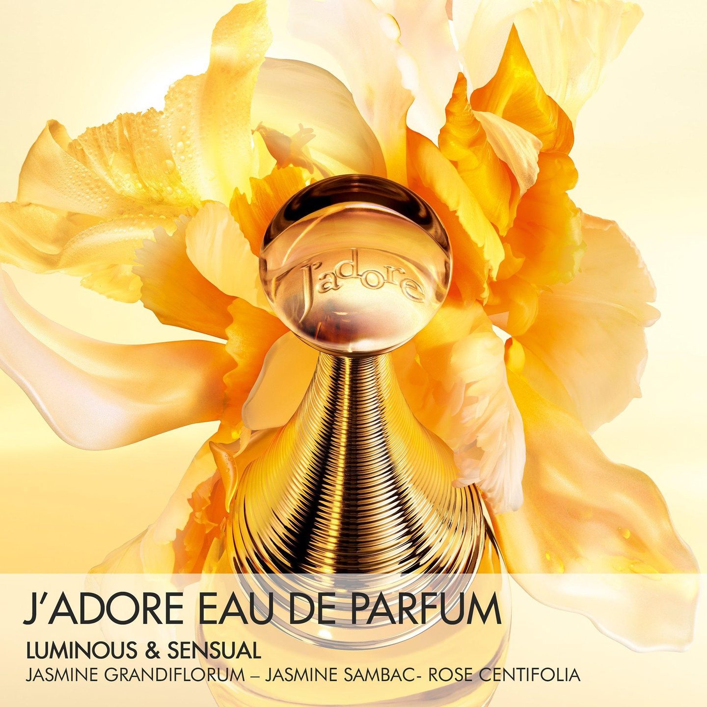 J'adore Eau de Parfum Roller-Pearl — фото 4