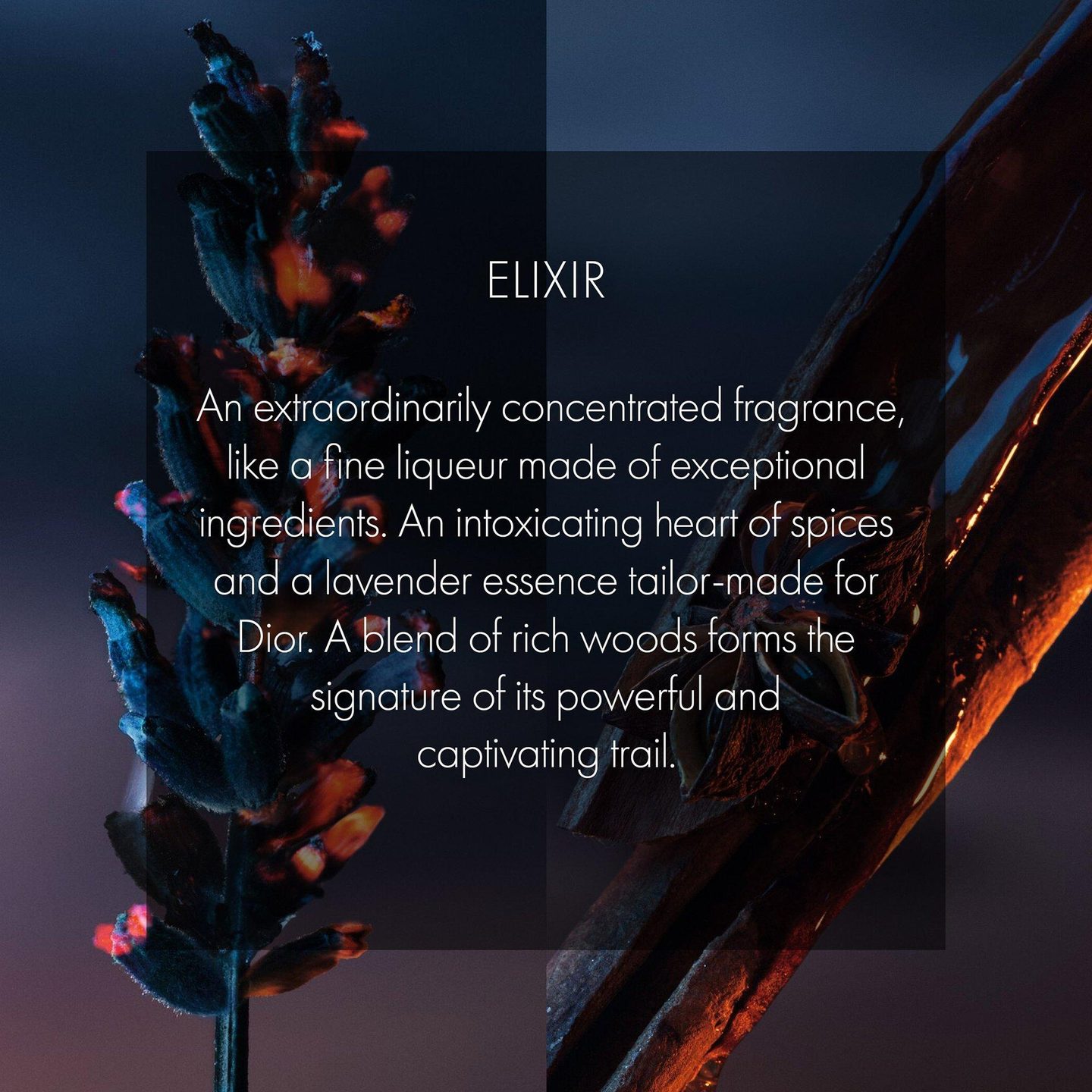 Sauvage Elixir — фото 4