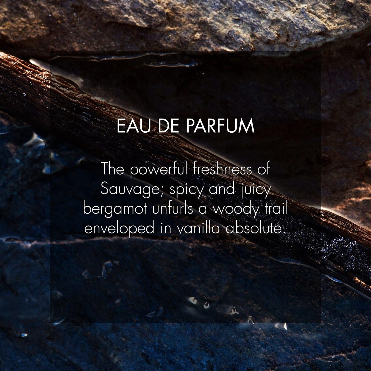 Sauvage Спрей для путешествий Eau de Parfum с кейсом — фото 5
